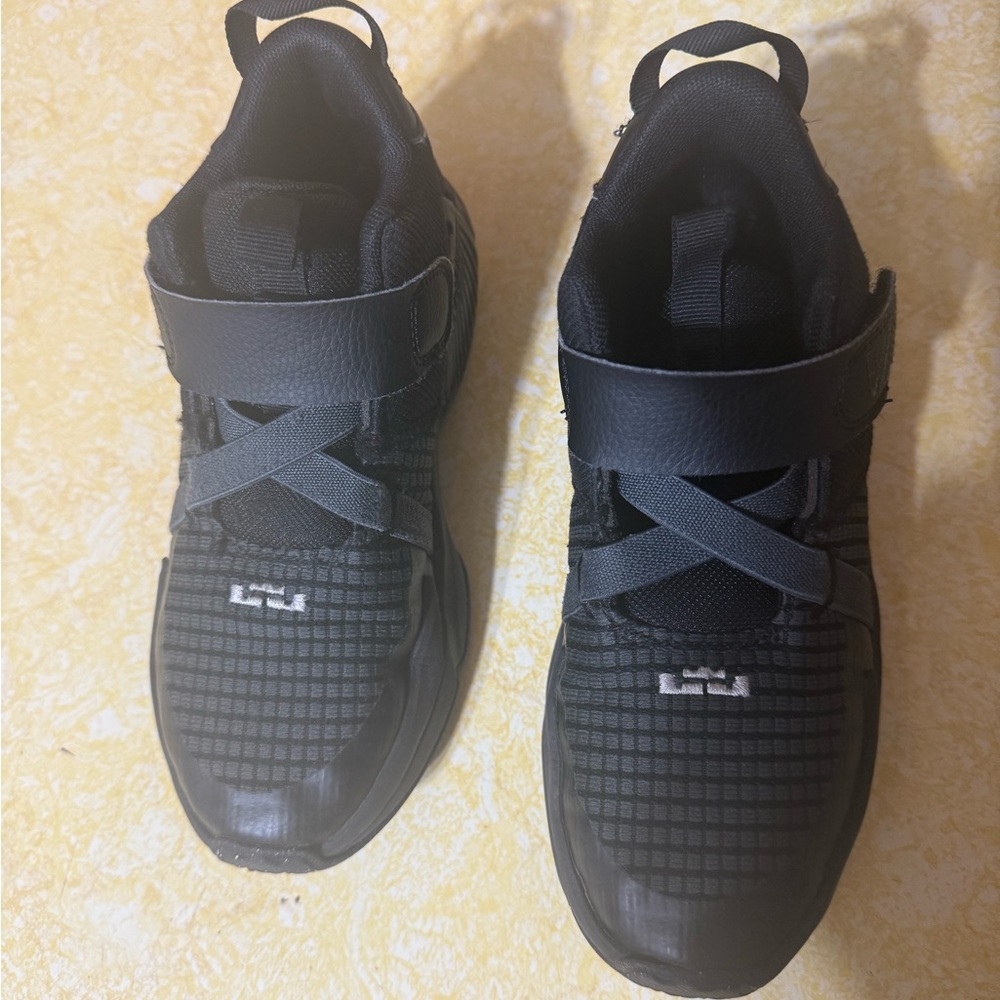 LeBron basketball shoes